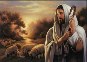... tuvo compasión de ellos, porque iban como ovejas sin pastor.